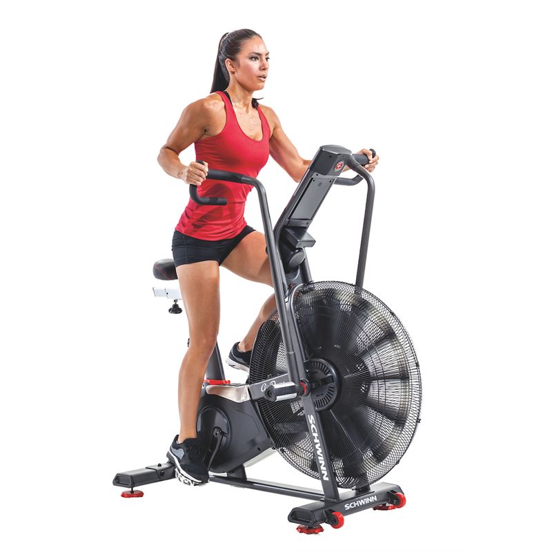 Airbike Airdyne Pro Schwinn - Wellness - GY013OUT [Remanufaturado