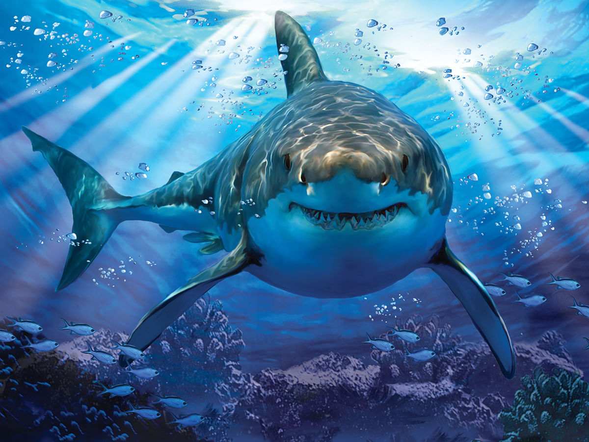 Quebra-Cabeça 3D - Tubarão - 500 Peças - Multikids - superlegalbrinquedos